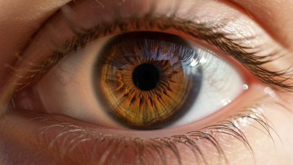 Glokom (Göz Tansiyonu) Nedir? Belirtileri, Nedenleri ve Tedavi Yöntemleri